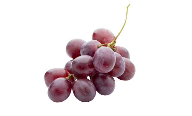 072021f614deacab9c96d855e8afbc80.png