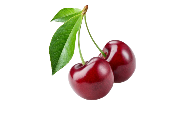 472b3d44abdf135a26fba8473fa5faf8.png
