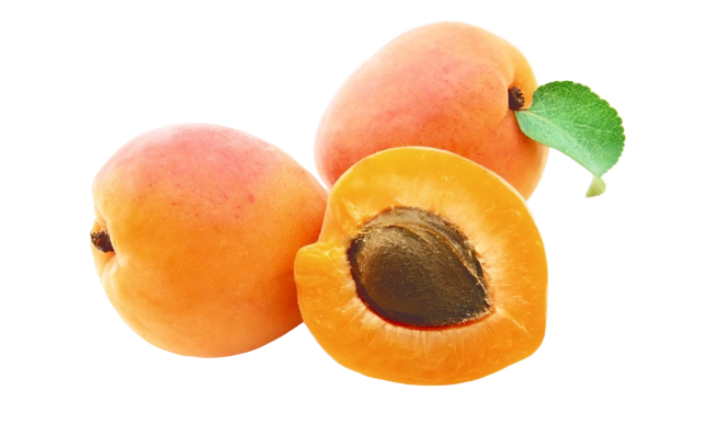 3926.png