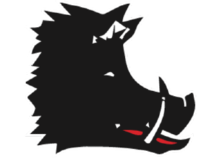 2008.png