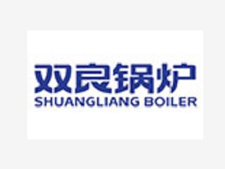 江蘇雙良鍋爐有限公司