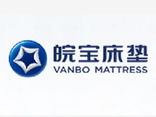 合肥皖寶集團