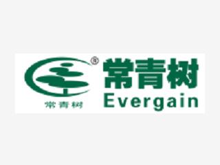 山東常青樹膠業股份有限公司