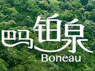 廣西巴馬鉑泉天然礦泉水有限公司